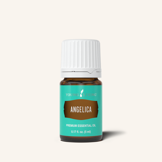 Angelica Oil 5ml